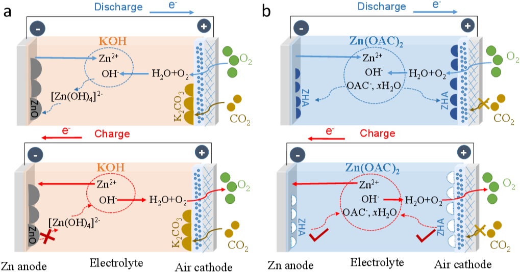 Angewandte Chemie: 长循环稳定性的非碱性锌空气二次电池