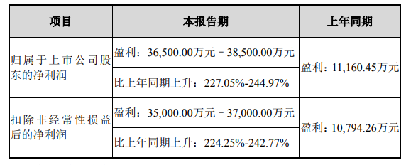 隔膜龙头预计上半年实现净利润超3.65亿元