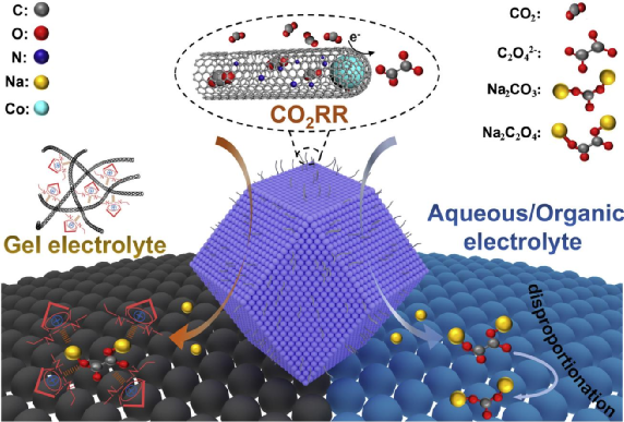 Na2C2O4放电产物实现准固态Na-CO2电池长循环