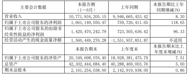 年季报表丨杉杉股份上半年净利16.61亿：负极出货超8万吨 电解液出货6672吨