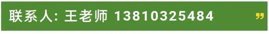 又一锂矿拍出天价！碳酸锂价格会干到60万元吗